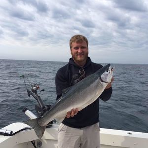 Meet your Posher, Austin